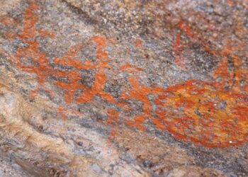 Kayseri’de Bulunan Neolitik sanat eserleri Tarihe Işık Tutuyor