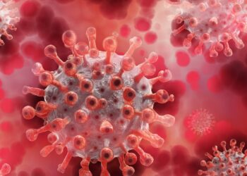 İngiltere’de yeni Maymun çiçeği varyantı: Halkın Tepkisi ve Psikoloji