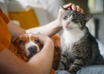 Kedi ve Köpekler İnsan Sağlığı İçin Kritik Rolde: Royal Canin Vakfı’ndan İyileştirici Güç Vurgusu