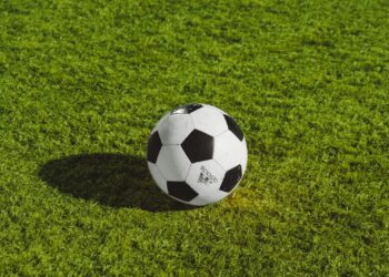 Çim saha üzerinde duran siyah beyaz klasik futbol topu.